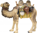 Kamel (K001-16) 