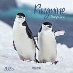 Pinguine 2025 Broschürenkalender 