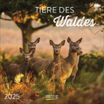 Tiere des Waldes 2025 Broschürenkalender 