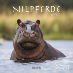 Nilpferde 2024 Broschürenkalender 