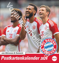 FC Bayern München 2025 Postkartenkalender 