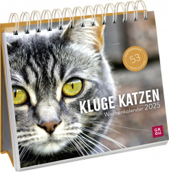 Kluge Katzen 2025 