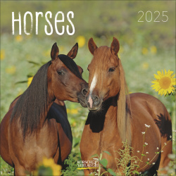 Horses 2025 Broschürenkalender 