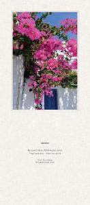 Liturgischer Kalender - Rückwand Bougainvillea 