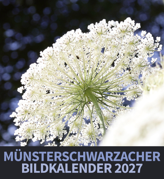 Münsterschwarzacher Bildkalender 2027 
